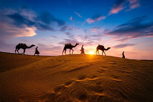 Explore the Richness of Rajasthan with Vichran Trip